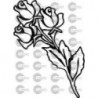 ROSAS
