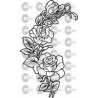 ROSAS