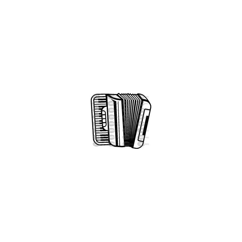 INSRUMENTO ACORDEON 001