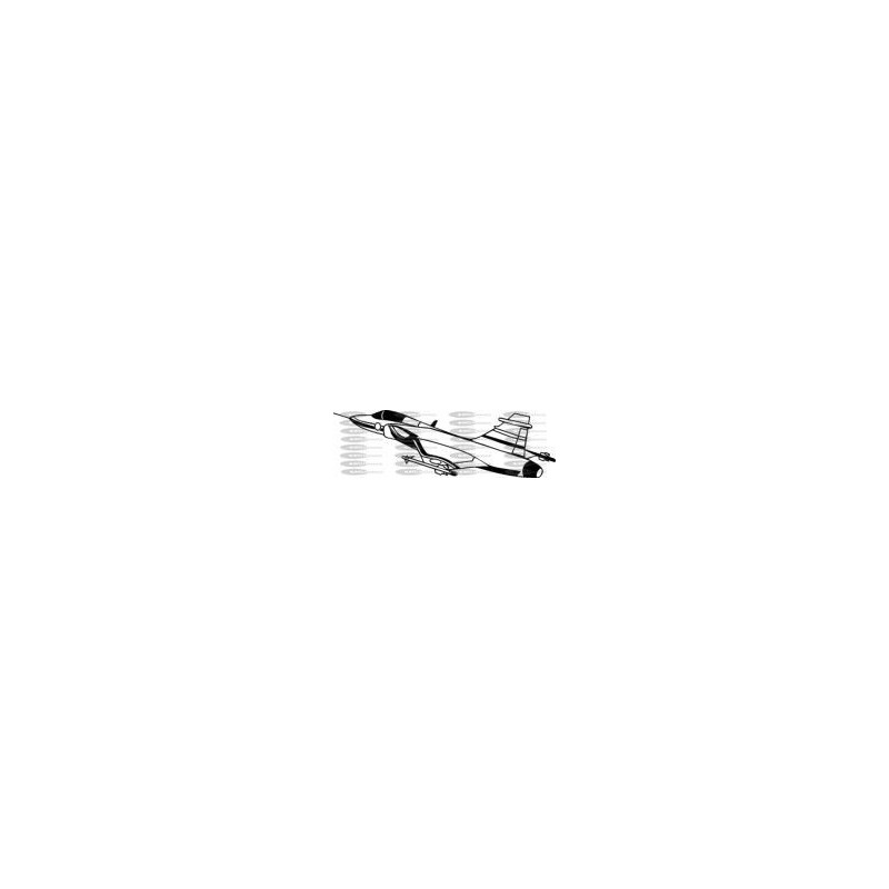AVION CAZA