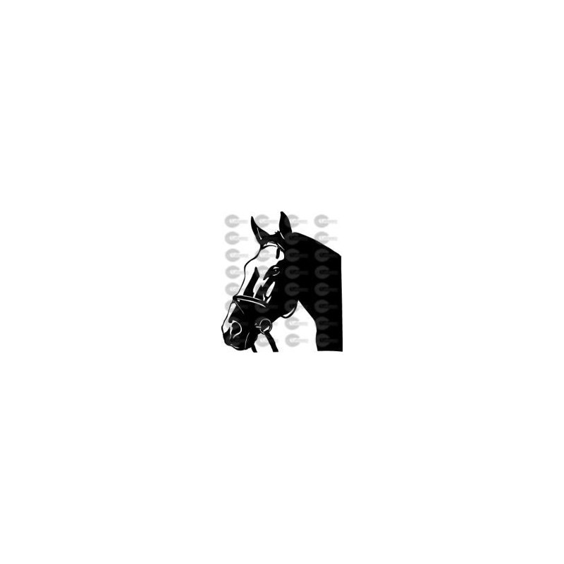CABEZA CABALLO