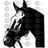 CABEZA CABALLO