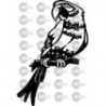 GUACAMAYO
