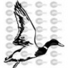 PATO