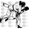 KARATE