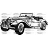 COCHE CLASICO MORGAN
