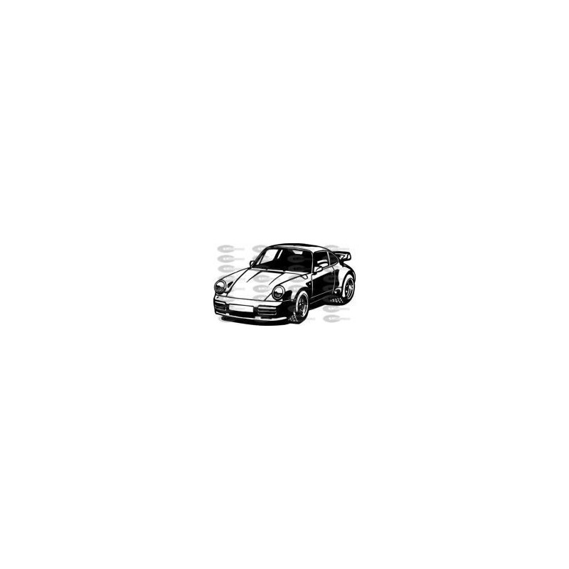 COCHE PORCHE