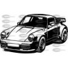 COCHE PORCHE