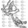 PALOMAS RAMA