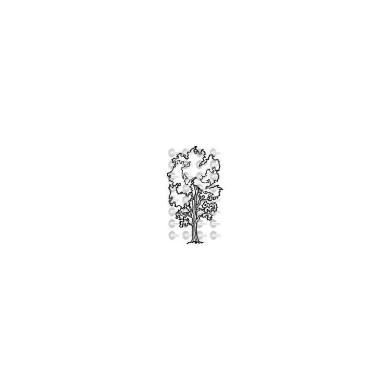 ARBOL 003