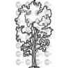 ARBOL 003