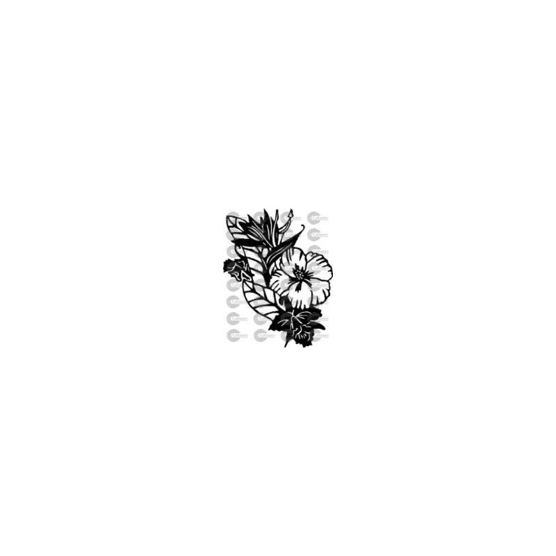 FLORES