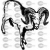 CABRA MONTESA
