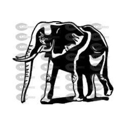 ELEFANTE