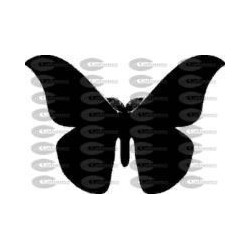 MARIPOSA