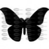 MARIPOSA