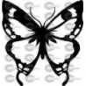 MARIPOSA