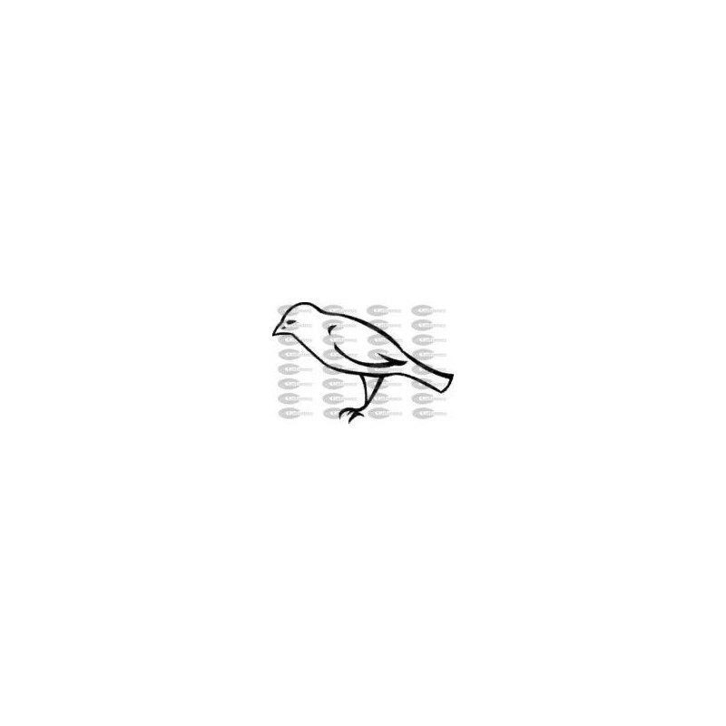 CANARIO