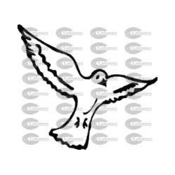 PAJARO