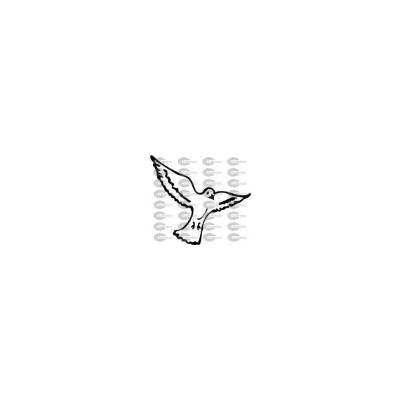 PAJARO
