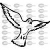 PAJARO