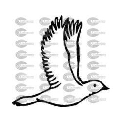 PAJARO