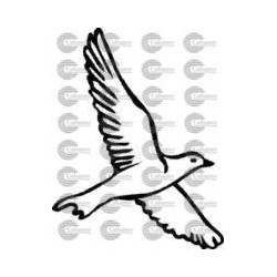 PAJARO