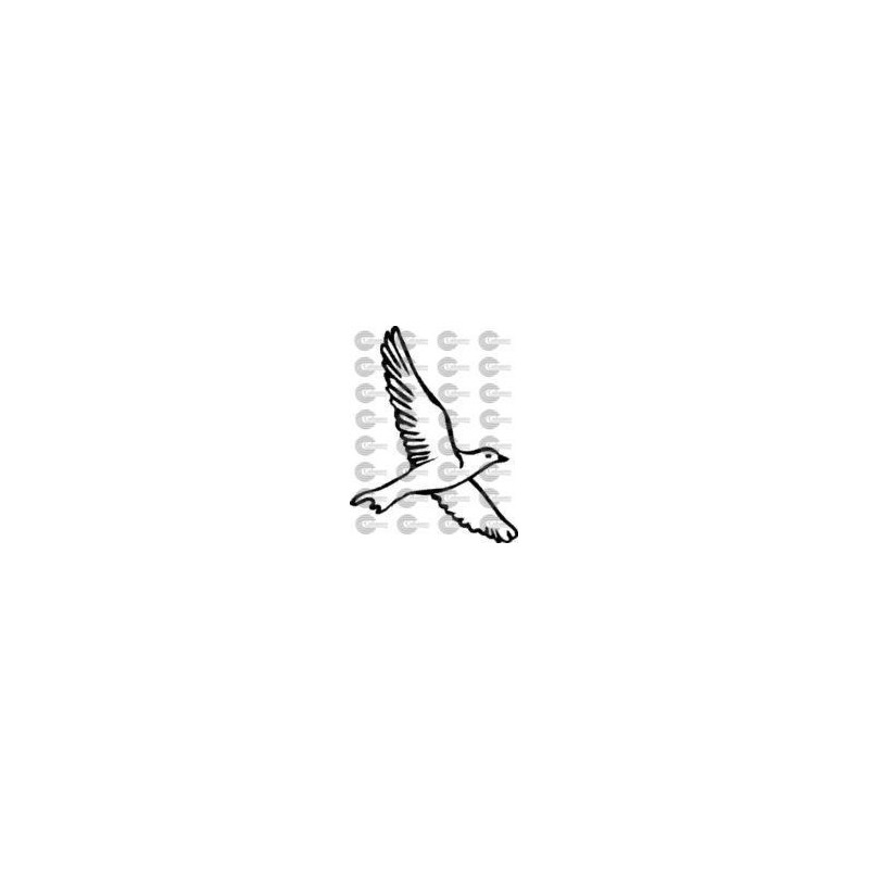 PAJARO
