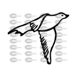 PAJARO