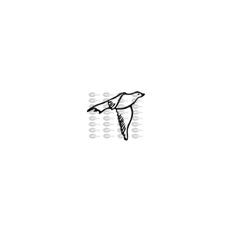 PAJARO
