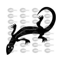 SALAMANQUESA