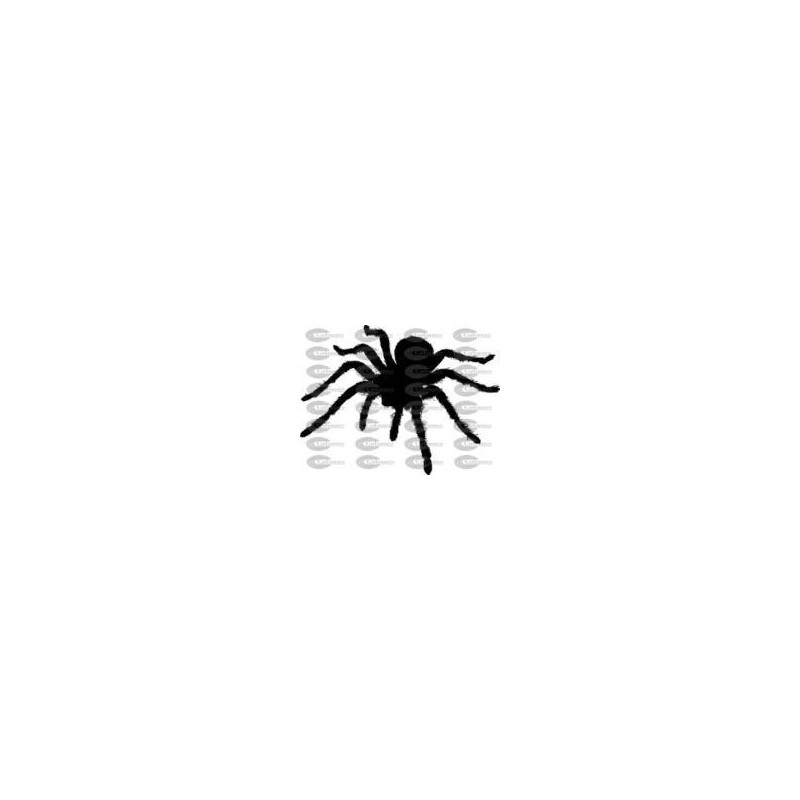 TARANTULA