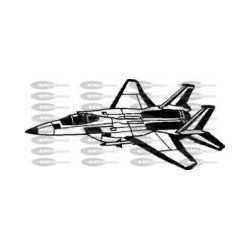 AVION CAZA