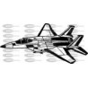 AVION CAZA