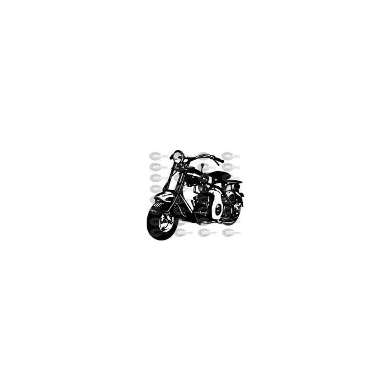 MOTO CUSTOM