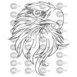 CABEZA AGUILA