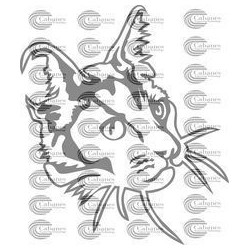 CABEZA GATO