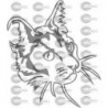 CABEZA GATO
