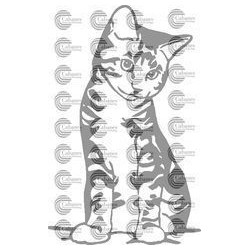 GATO