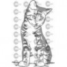 GATO