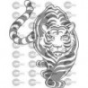 TIGRE