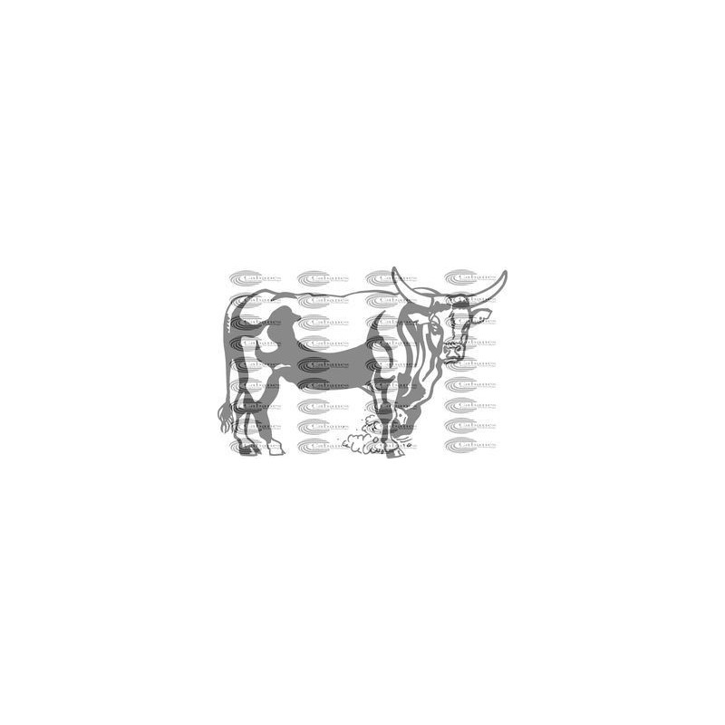 TORO