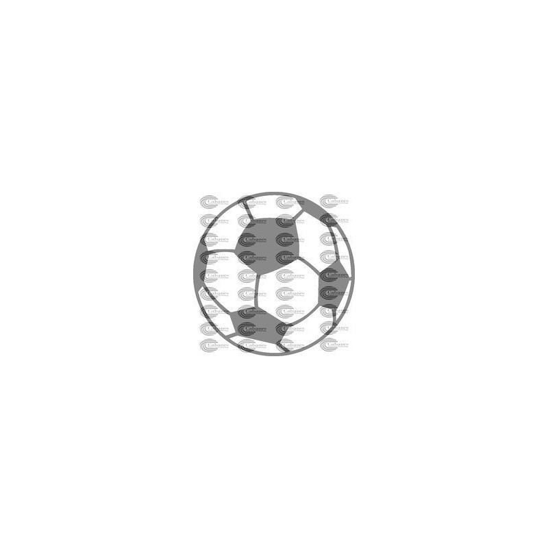BALON FUTBOL