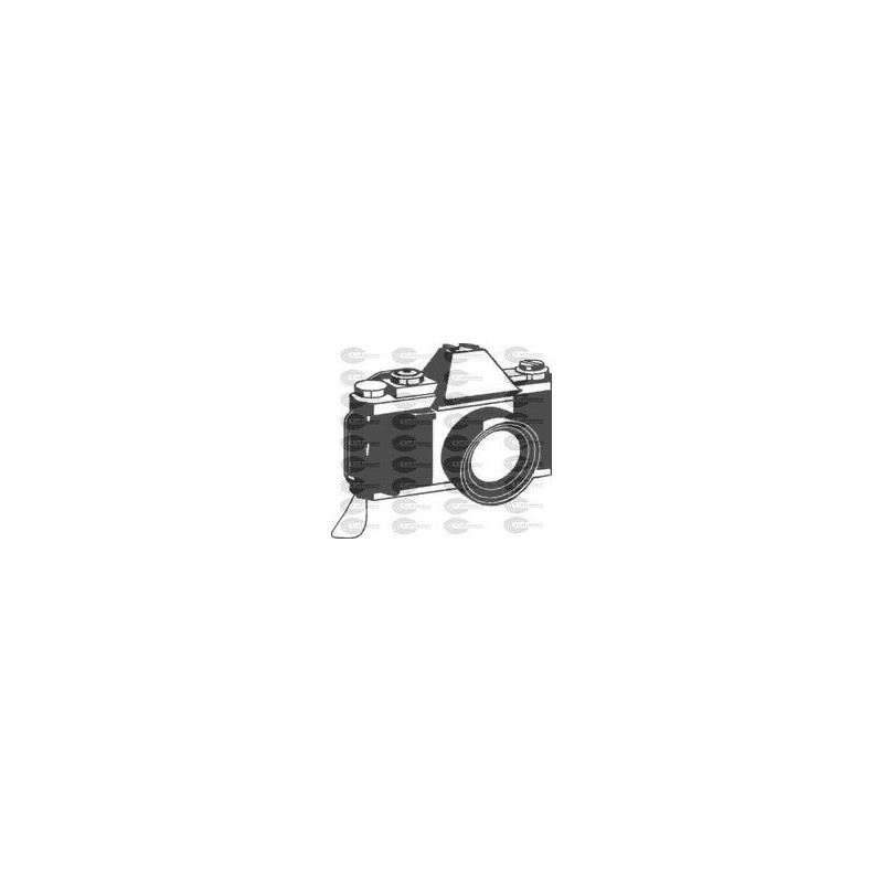 CAMARA FOTOGRAFICA