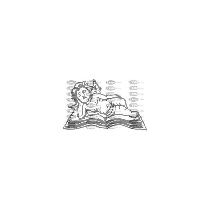ANGEL LIBRO 002