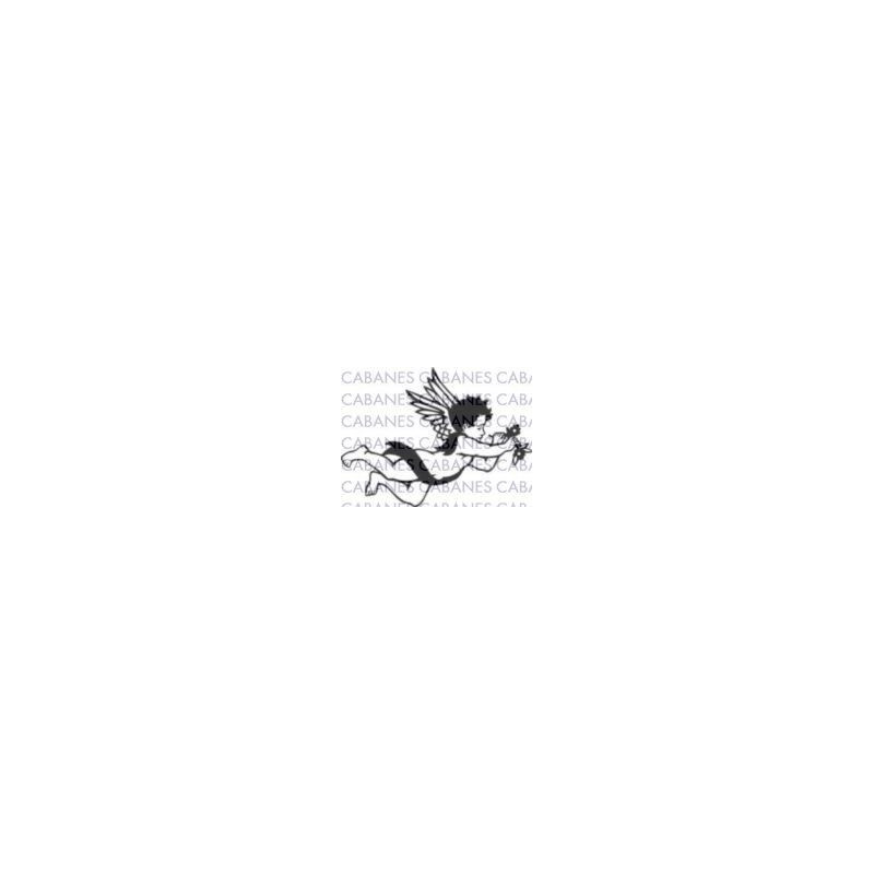 ANGEL VOLANDO 001