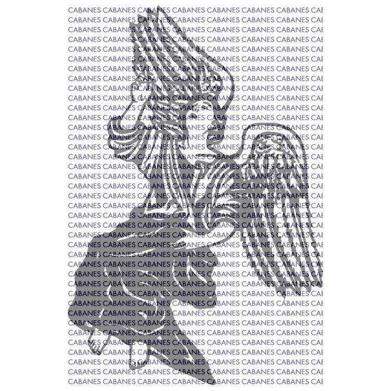 ANGEL 007