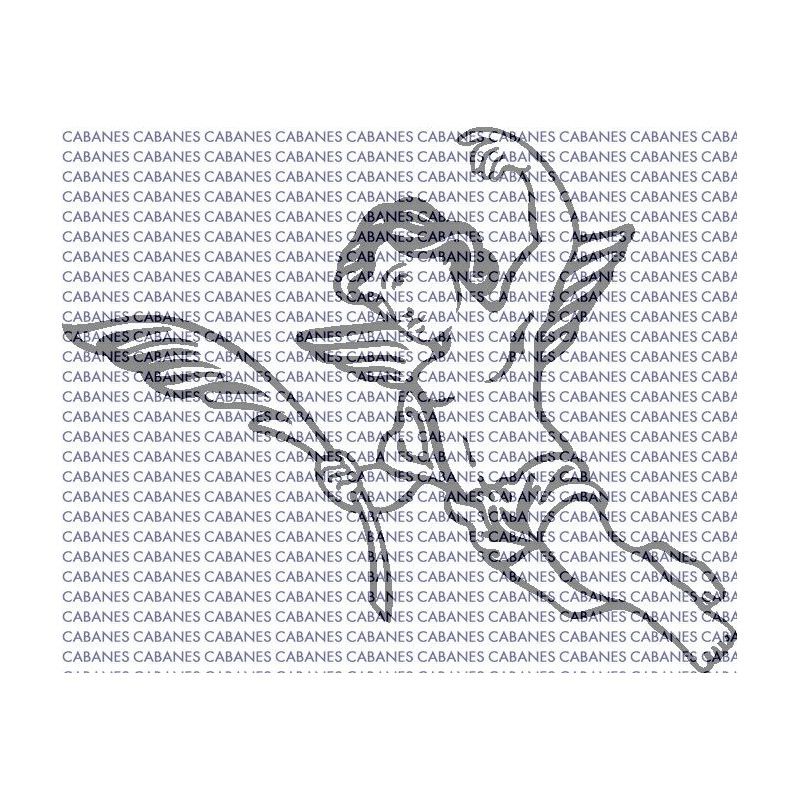 ANGEL PALMA 001