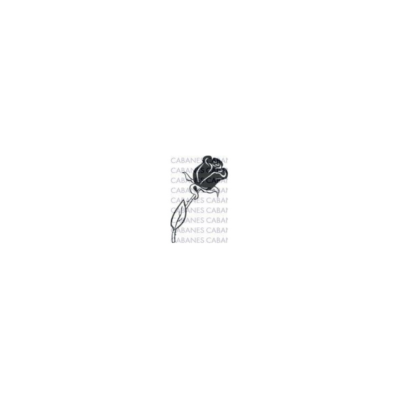 ROSA 006