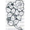 ROSAS
